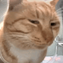 status